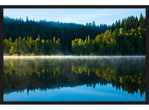 Bilde, Morgendis i skog, Espen Mills Glass m/ramme, 120x80 cm 