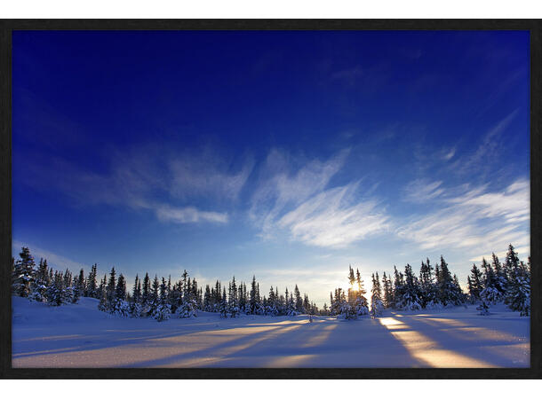 Bilde, Vinter i skogen, Espen Mills Glass m/ramme, 120x80 cm 