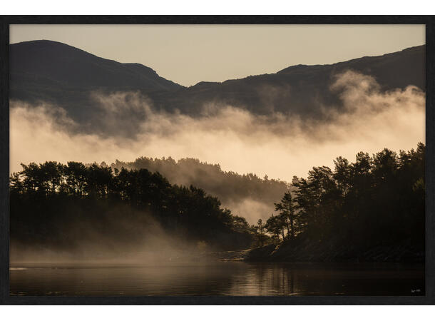 Bilde, Skogsdis svart/hvitt, Espen Mills Glass m/ramme, 120x80 cm 